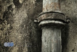 Kastelnik odgrzybianie Chorzów | Usuwanie grzyba ze ściany, pleśni z sufitu 