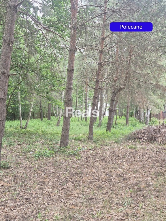 Piękna działka pod w centrum Komorowa - Ansicht 2