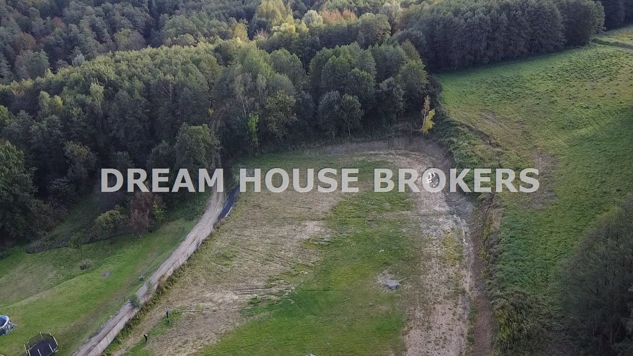 Twoja działka| Lubenia| 22,41 ar - Widok 3