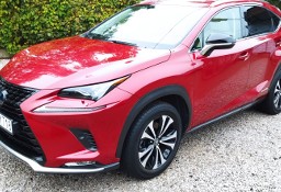 Lexus NX BORDO DO SPRZEDANIA