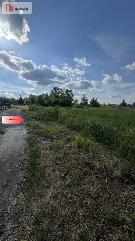 Działka budowlana w Chocianowie - Widok 5