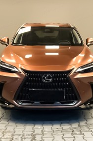 Lexus NX NX 14- 450h+ Prestige AWD 450h+ Prestige AWD 2.5 (292KM) | Kamera 360-2
