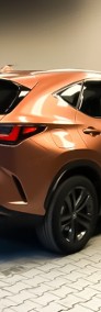 Lexus NX NX 14- 450h+ Prestige AWD 450h+ Prestige AWD 2.5 (292KM) | Kamera 360-3