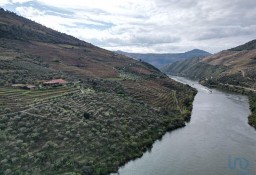 Dom Ervedosa Do Douro