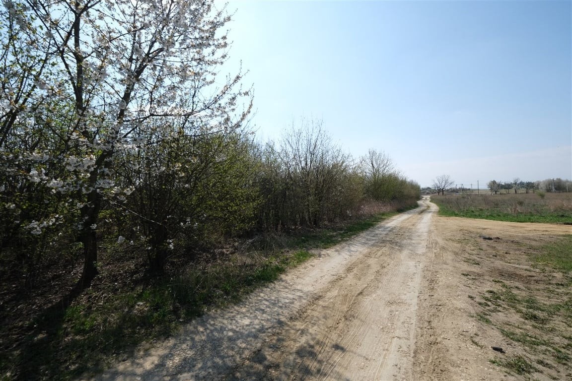 Działki budowlane od 1477 2m do 1810 m² – pohled 5