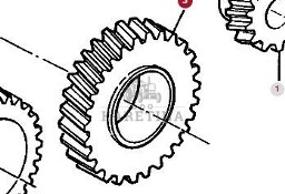 Massey Ferguson 3690 Wałek Zębaty Zębatka Skrzyni Dynashift 32 zęby CZĘŚCI 3616020M2