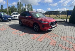 Ford Kuga IV Hybryd 4WD st-Line