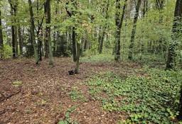 Działka budowlana Magdalenka, ul. Podleśna