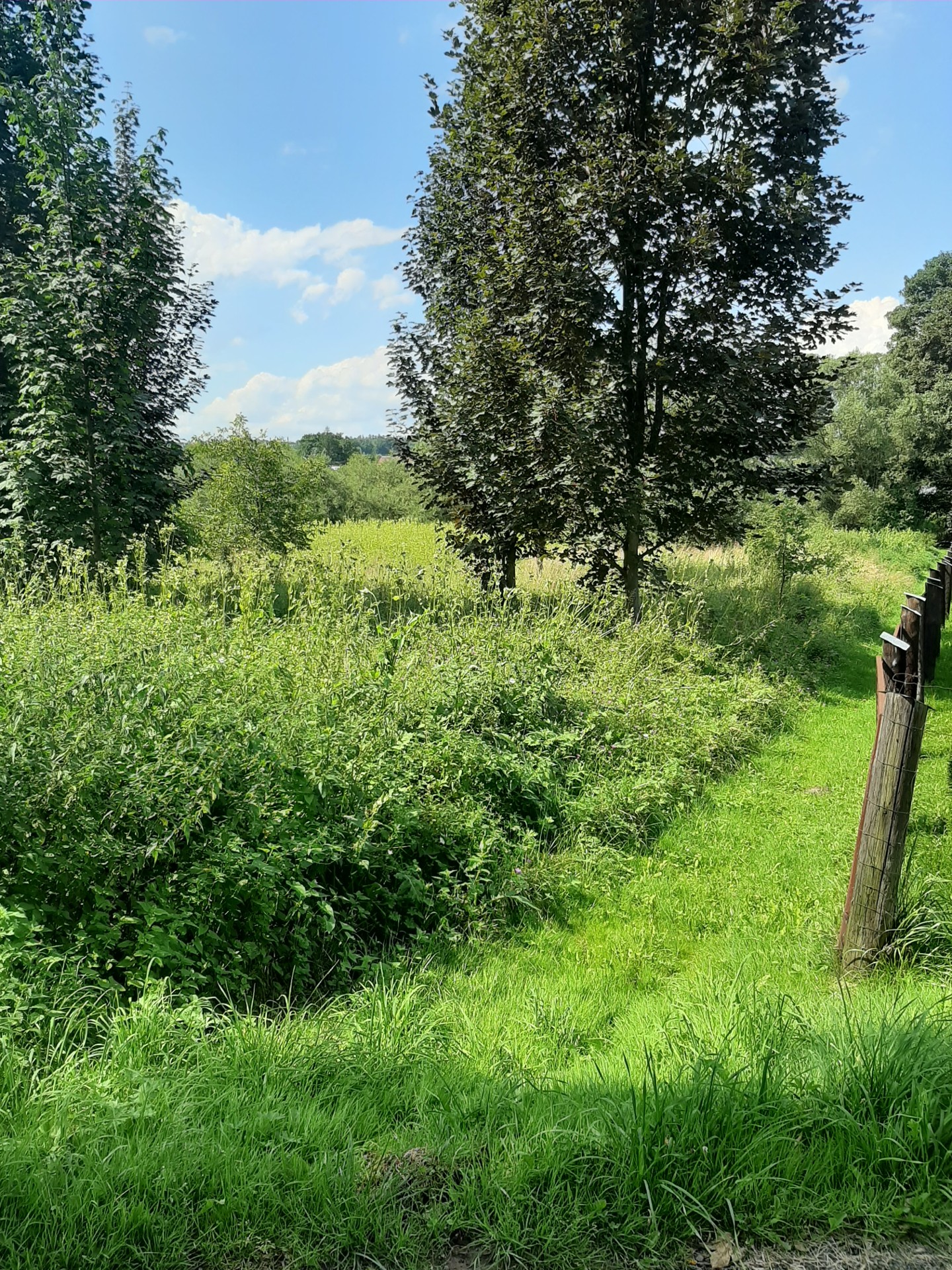 Działka budowlana na sprzedaż - Kalwaria Zebrzydowska - 0,1350 ha (13,5 ara) - Widok 3