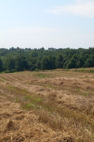 Działka rolna w Grębynicach-2