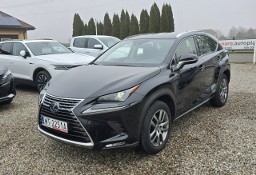 Lexus NX NX 14- 300h HYBRID AWD 4x4 Elegance Salon PL GWARANCJA 3 LATA Zamiana FV 23