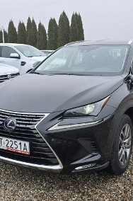 Lexus NX NX 14- 300h HYBRID AWD 4x4 Elegance Salon PL GWARANCJA 3 LATA Zamiana FV 23-2