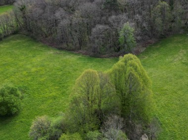 Działka, sprzedaż, 15000.00-1