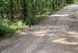 Działka leśna Siestrzeń