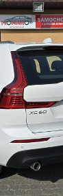 Volvo XC60 II 2.0 D4 190KM Momentum Salon Polska Serwis ASO Dom Volvo Car FV 23%-4