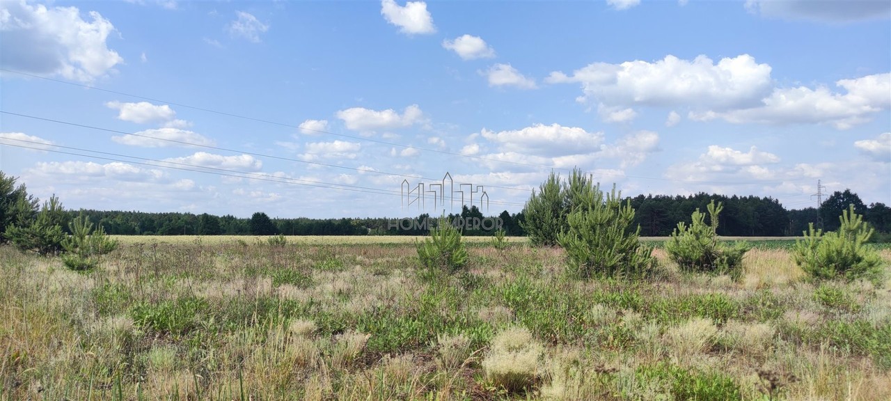 Działka na sprzedaż, 1750 m², Zagórów Włodzimirów - Widok 2