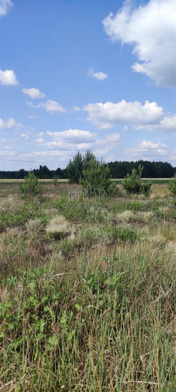 Działka na sprzedaż, 1750 m², Zagórów Włodzimirów - Widok 3