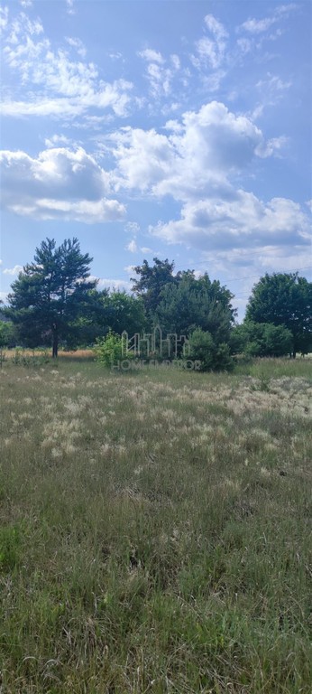 Działka na sprzedaż, 1750 m², Zagórów Włodzimirów - Widok 5