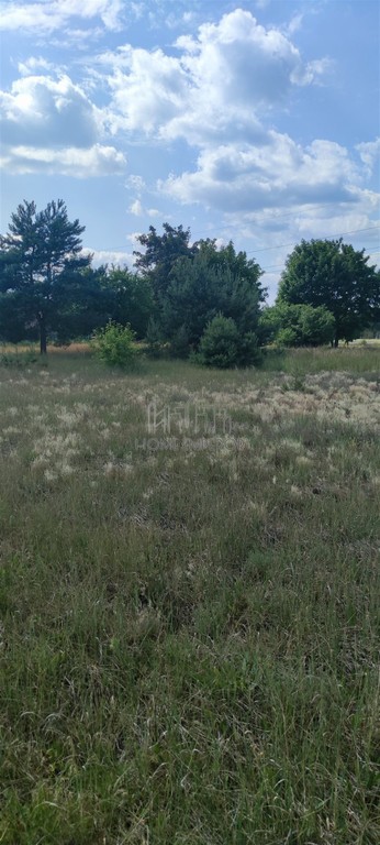 Działka na sprzedaż, 1750 m², Zagórów Włodzimirów - Widok 6