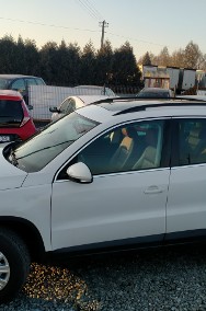 Volkswagen Tiguan I TREND FR 1.4 TSI 150 KM Klimatronic Skóra Panorama Nowy rozrząd-2