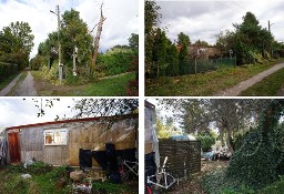 Syndyk sprzeda prawo do działki ROD Żerżeń