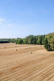 3 sielskie działki przy lesie, na Mazowszu-2