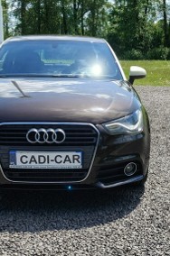Audi A3 II (8P) Bogata wersja, stan bardzo dobry.-2