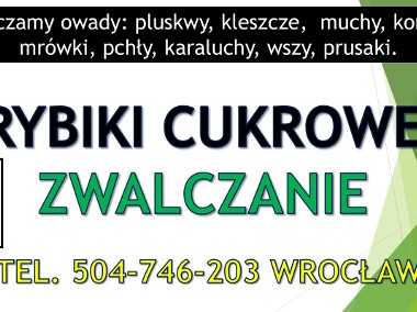 Rybiki cukrowe Wrocław, tel. Wrocław, zwalczenie, skuteczny środek, dezynfekcja-1