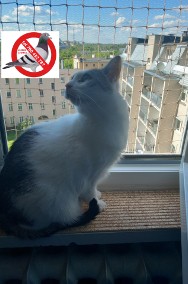 Opole montaż siatek przeciw GOŁĘBIOM dla KOTA balkon okna taras czyszczenie-2