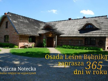 Bębnikąt Osada Leśna w  sercu Puszczy Noteckiej 40km od Poznania ,jezioro, wyspa-1