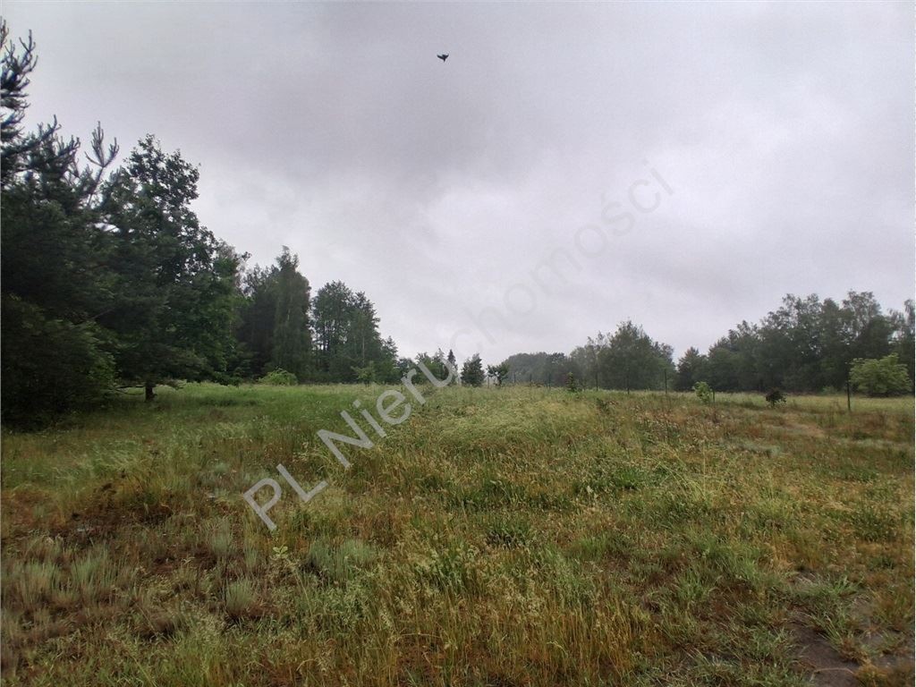 Działka na sprzedaż, 5259 m², Mszczonów Marków-Towarzystwo – pohled 4