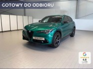 Alfa Romeo Stelvio 2.0 Turbo Intensa Q4 2.0 Turbo Intensa Q4 (280KM) Lakier specjalny z