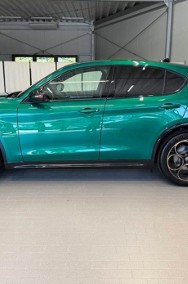 Alfa Romeo Stelvio 2.0 Turbo Intensa Q4 2.0 Turbo Intensa Q4 (280KM) Lakier specjalny z-2