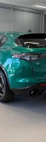 Alfa Romeo Stelvio 2.0 Turbo Intensa Q4 2.0 Turbo Intensa Q4 (280KM) Lakier specjalny z-3