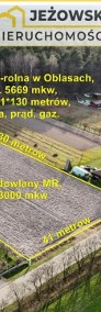 Szeroka działka 56,7 arów, Oblasy, 10 km od Puław.-3