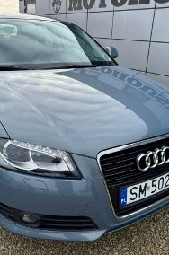 Audi A3 II (8P) 1.6 mpi xenon pełny serwis-2