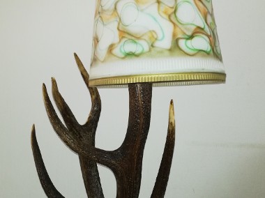 Obrazy, fotel, lampy z poroża jelenia-inne art. dekoracyjne rękodzieło-1
