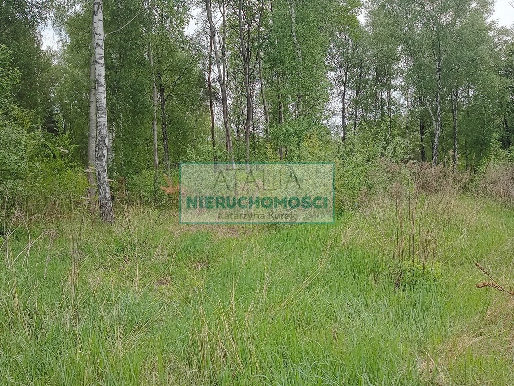Piękna działka w Leśnej otulinie Mościska - Widok 2