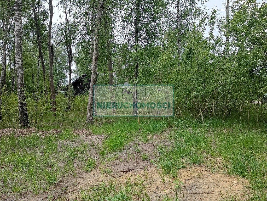 Piękna działka w Leśnej otulinie Mościska - Widok 3