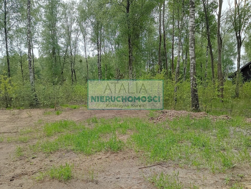 Piękna działka w Leśnej otulinie Mościska - Widok 4