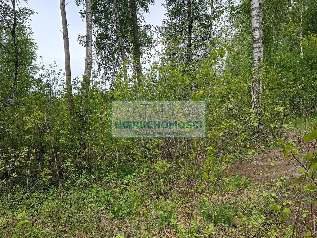 Piękna działka w Leśnej otulinie Mościska - Widok 6