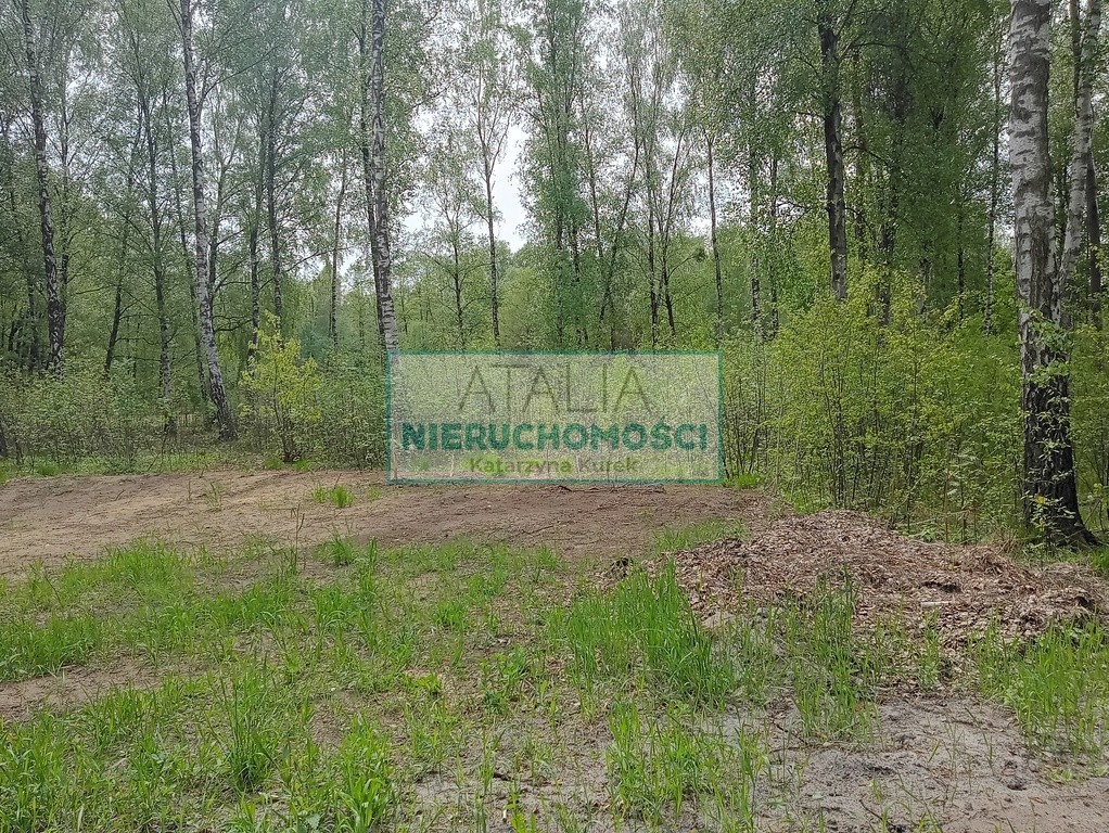Piękna działka w Leśnej otulinie Mościska - Więcej