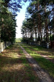 Działka leśna z prawem budowy Brzozowa, ul. Brzozowa 2-2