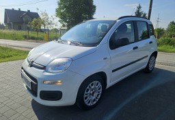 Fiat Panda III Polski salon, Bezwypadkowy