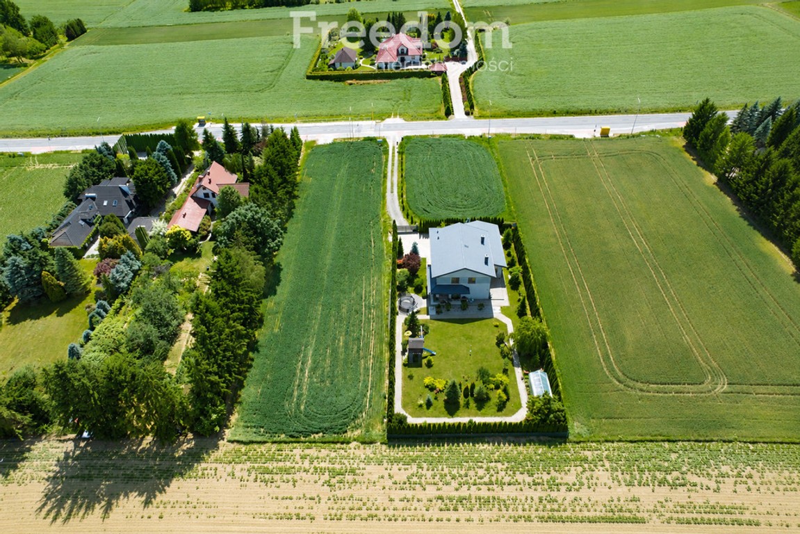 1513 m² | MPZP | Media | 20 min od centrum Lublina - Widok 4