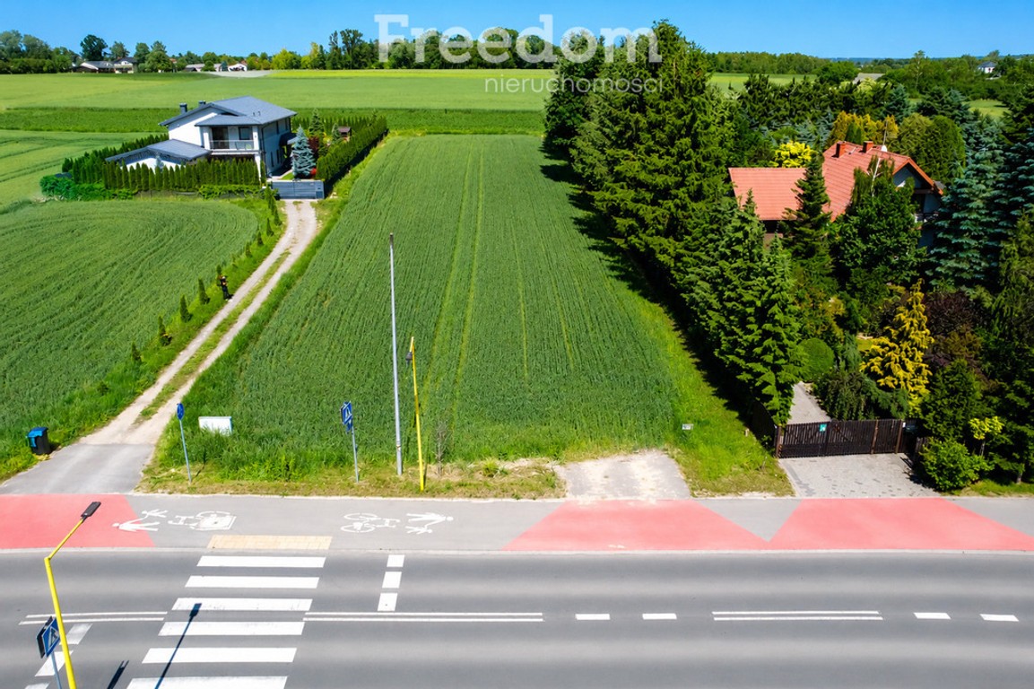 1513 m² | MPZP | Media | 20 min od centrum Lublina - Widok 5