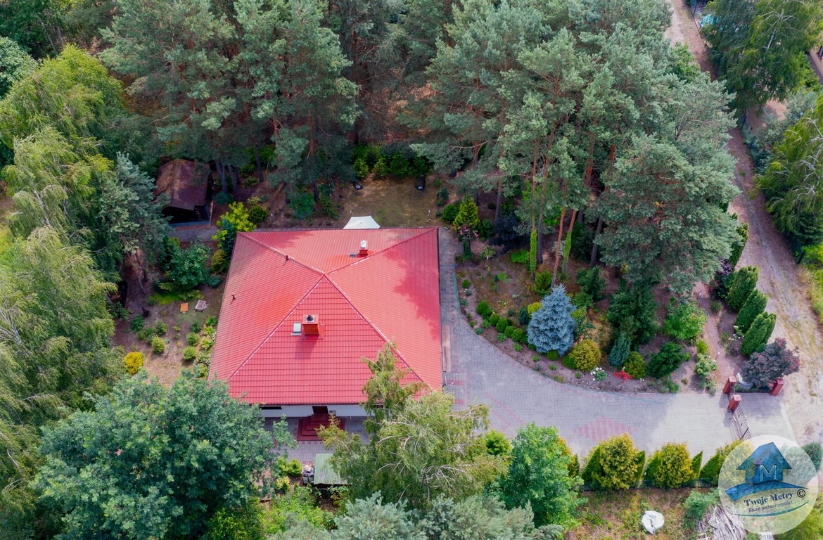 Dąb Wielki, dom z klimatem siedliska. - Widok 5
