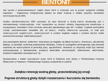 Bentonit-2