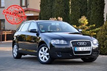 Audi A3 II (8P) 1.9TDI(105KM)*Sportback*Welut*Klimatronik*Chrom*Reling*Alu16"ASO