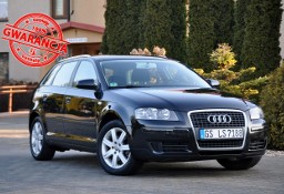 Audi A3 II (8P) 1.9TDI(105KM)*Sportback*Welut*Klimatronik*Chrom*Reling*Alu16"ASO